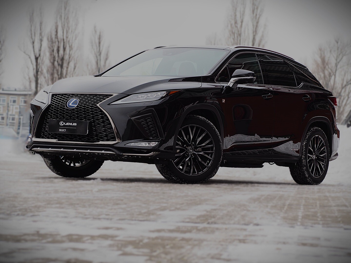 Lexus RX