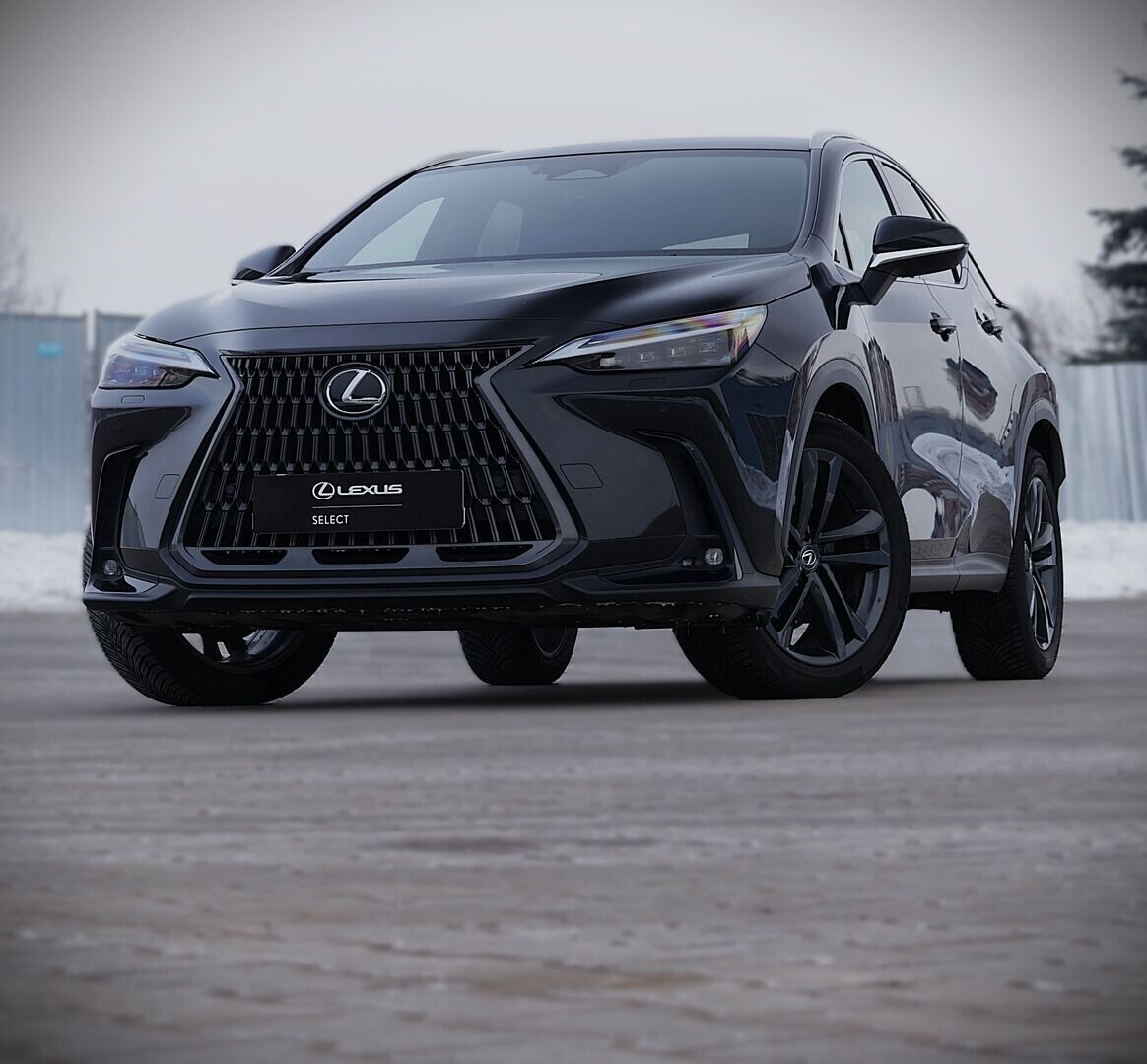 Lexus NX