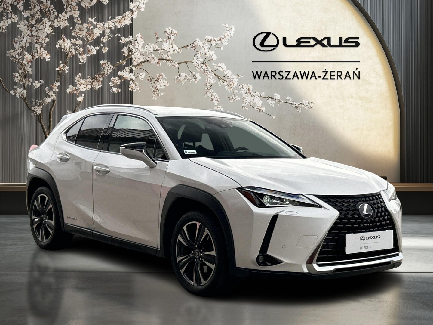 Lexus UX