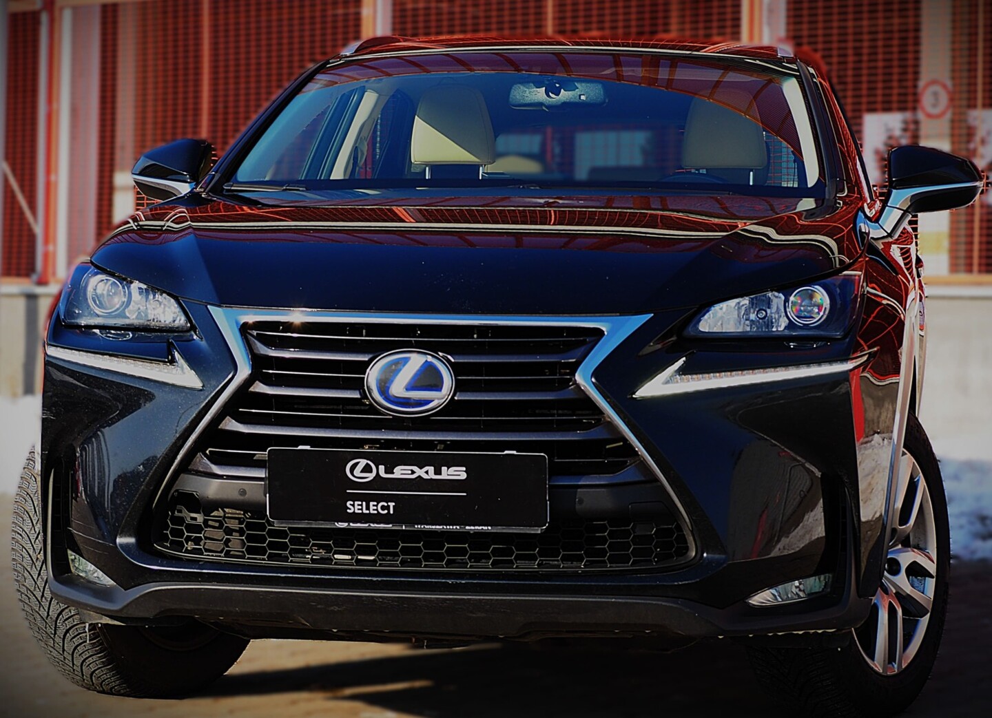 Lexus NX