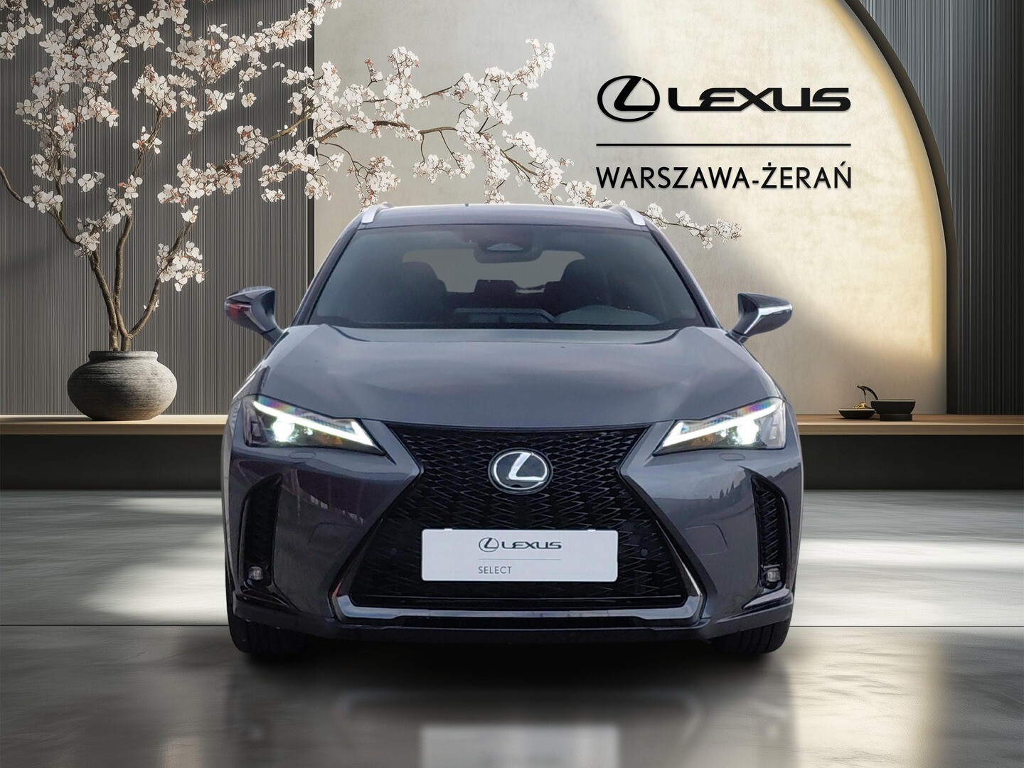 Lexus UX