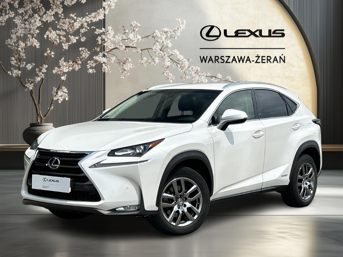 Lexus NX