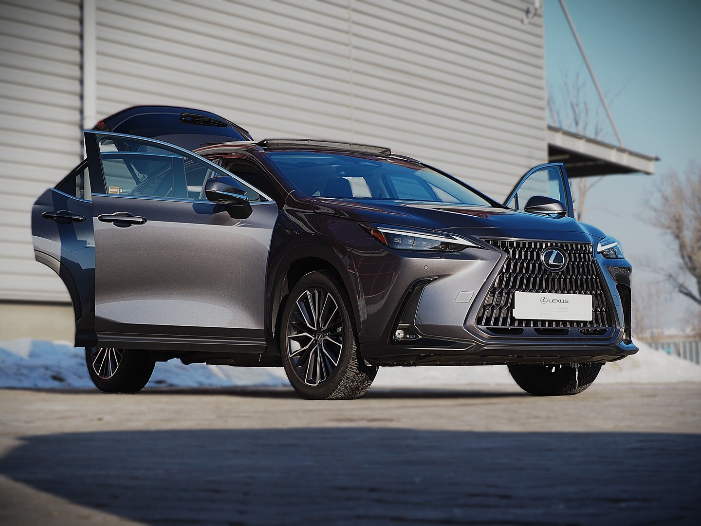 Lexus NX