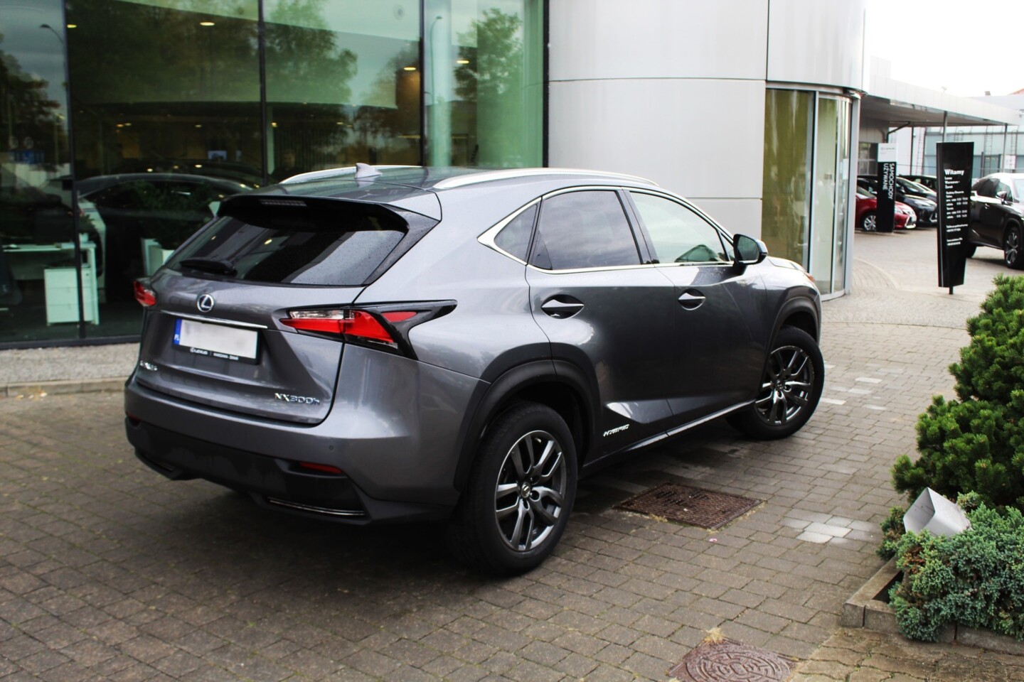 Lexus NX