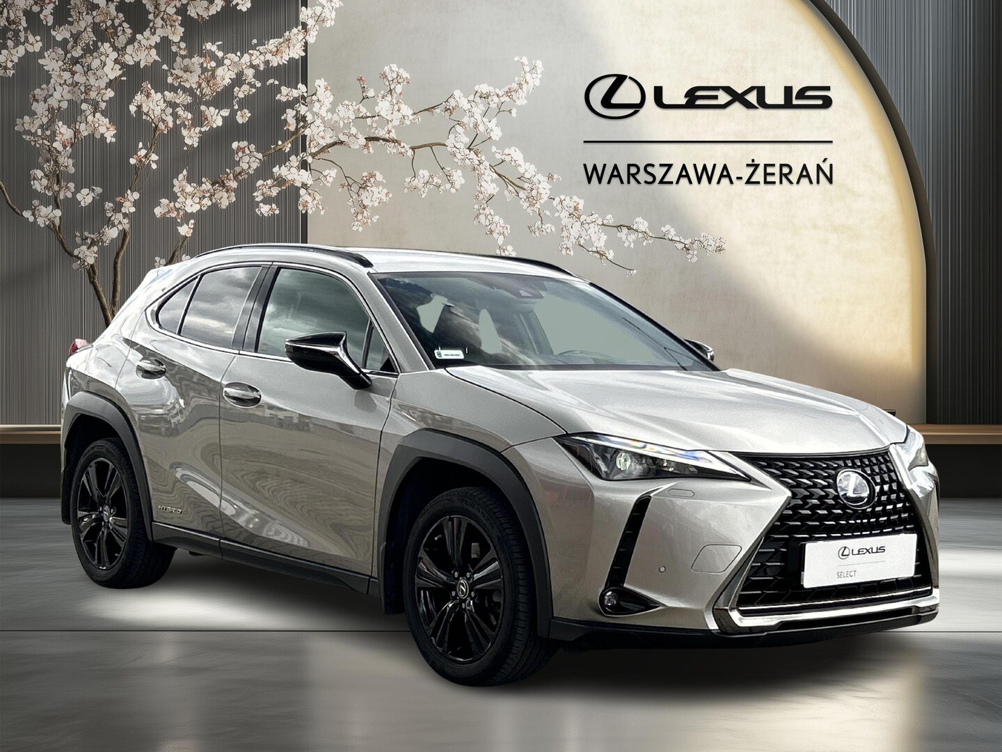 Lexus UX