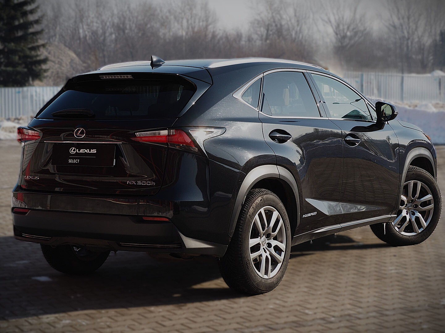 Lexus NX