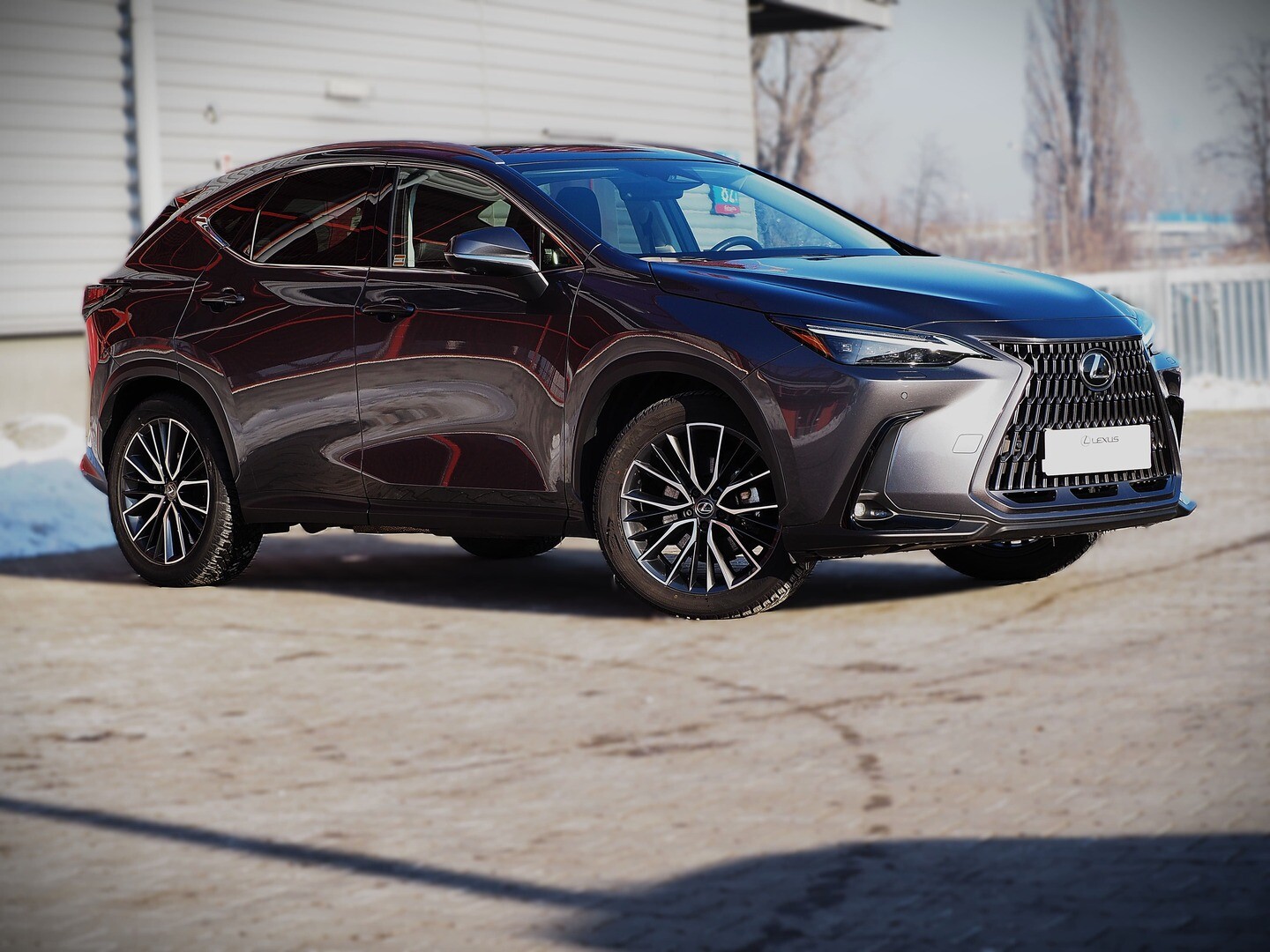 Lexus NX