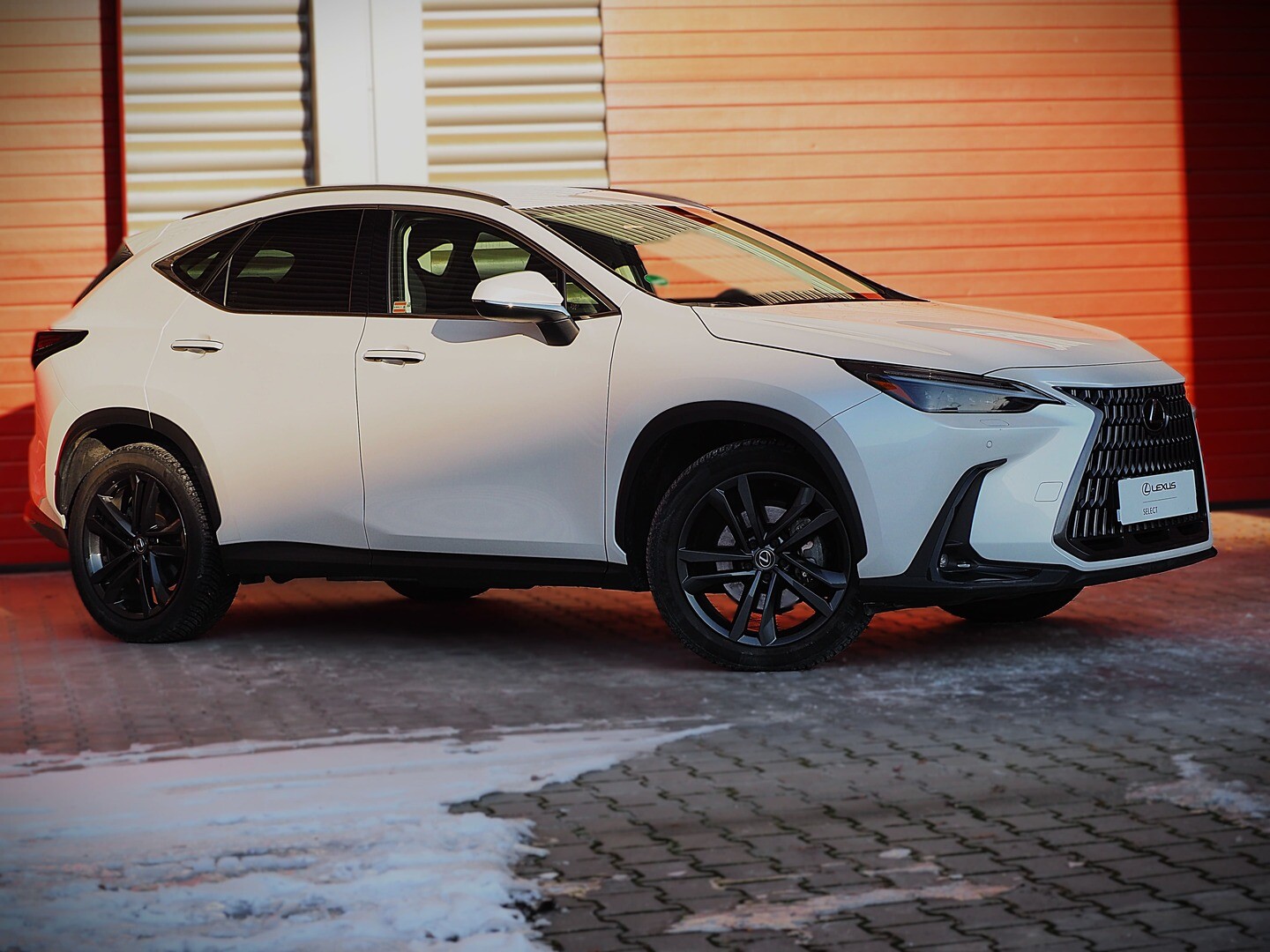 Lexus NX