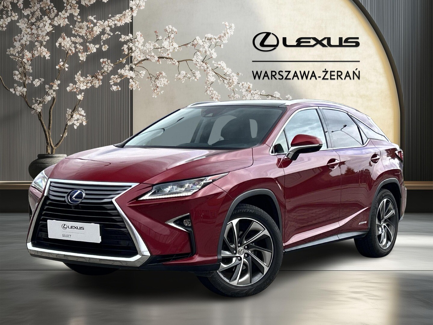Lexus RX