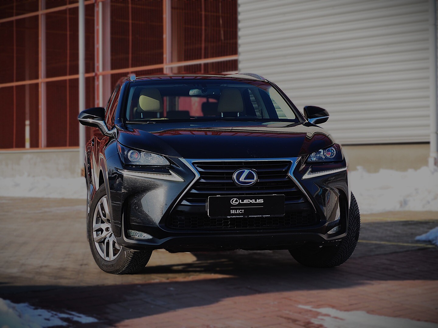 Lexus NX