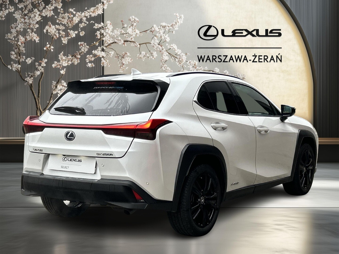 Lexus UX