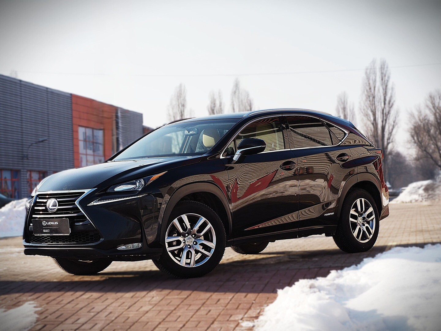 Lexus NX