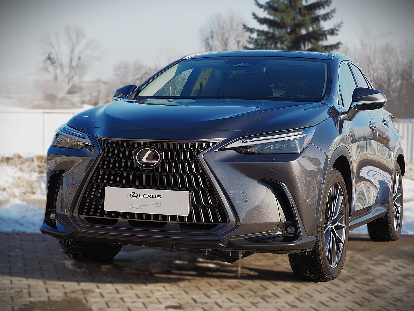 Lexus NX