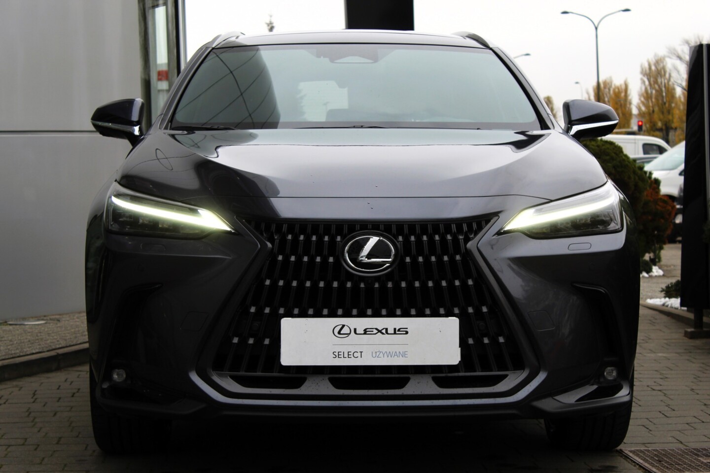 Lexus NX