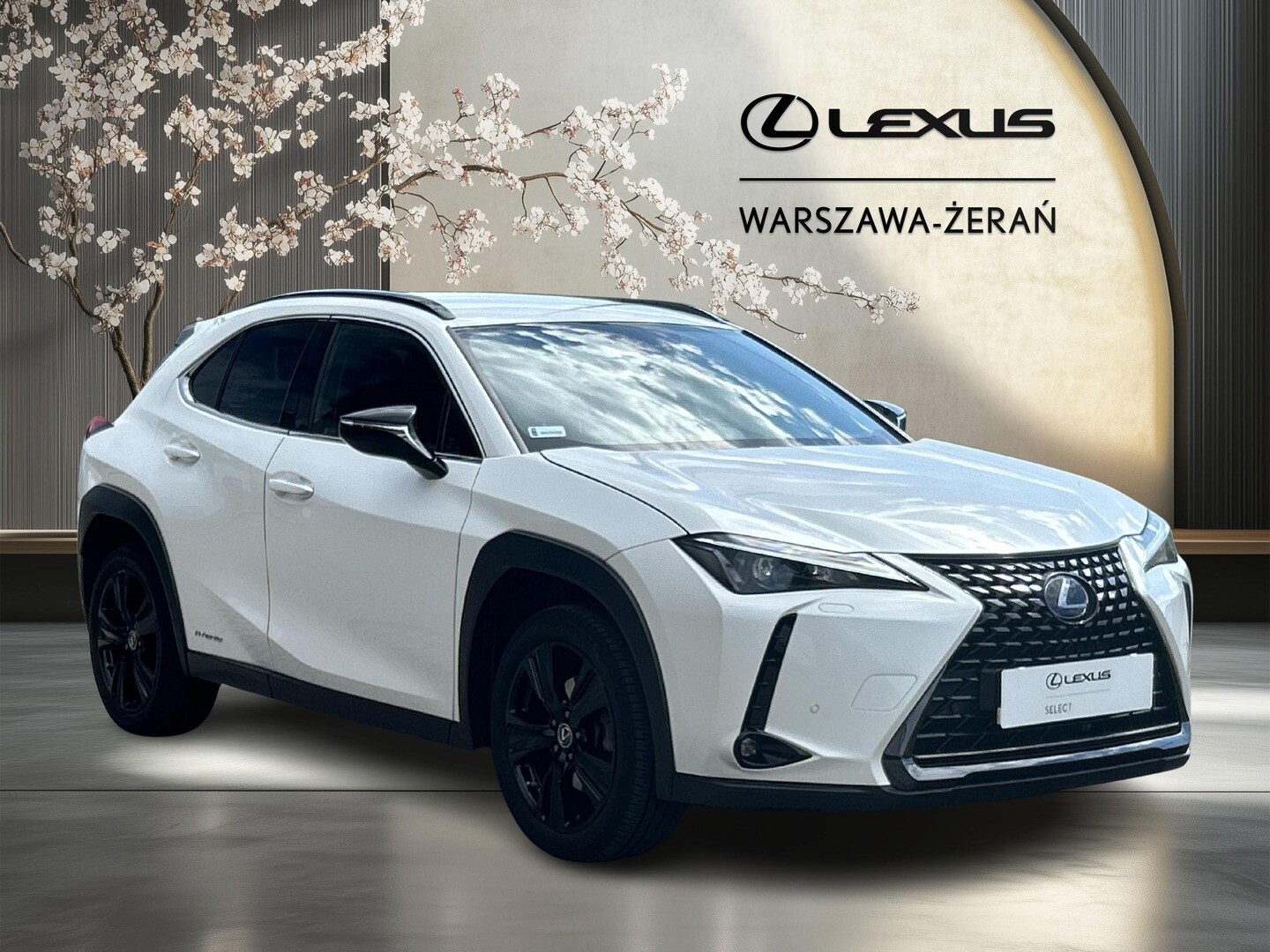 Lexus UX