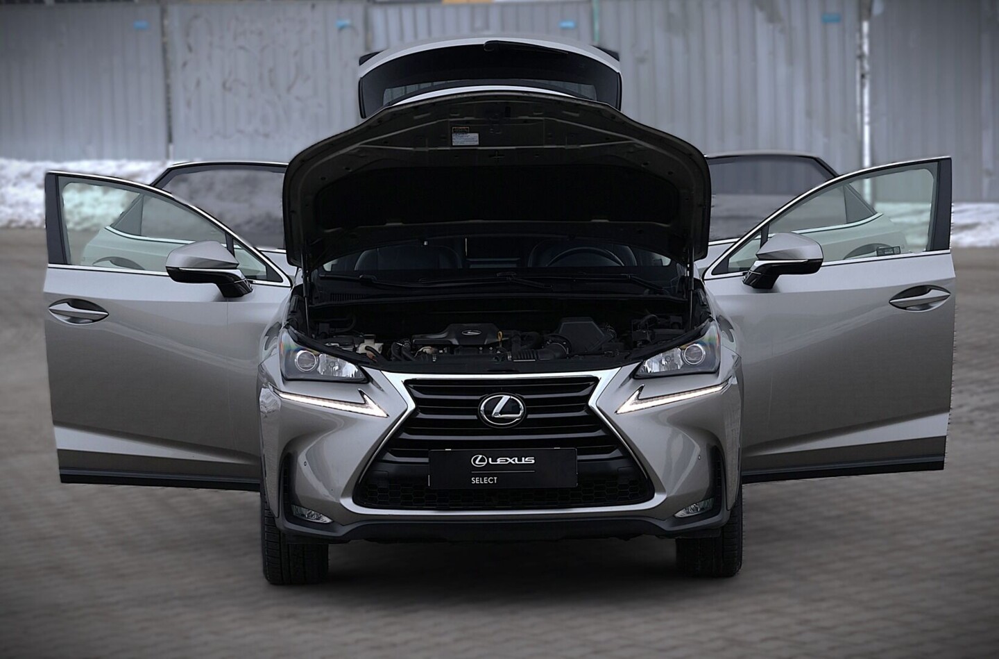 Lexus NX