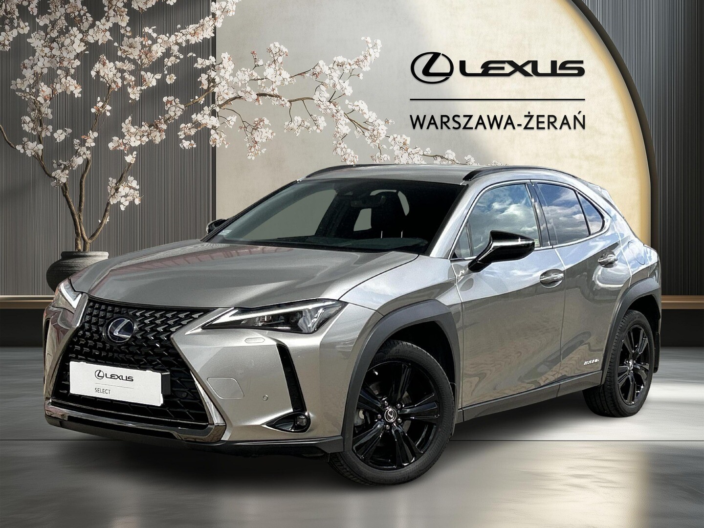 Lexus UX
