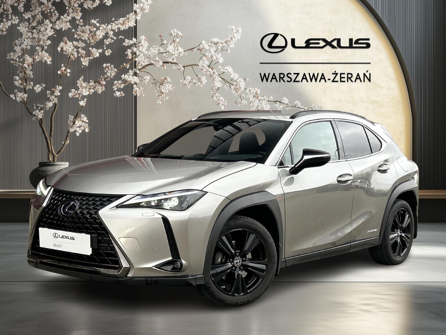 Lexus UX