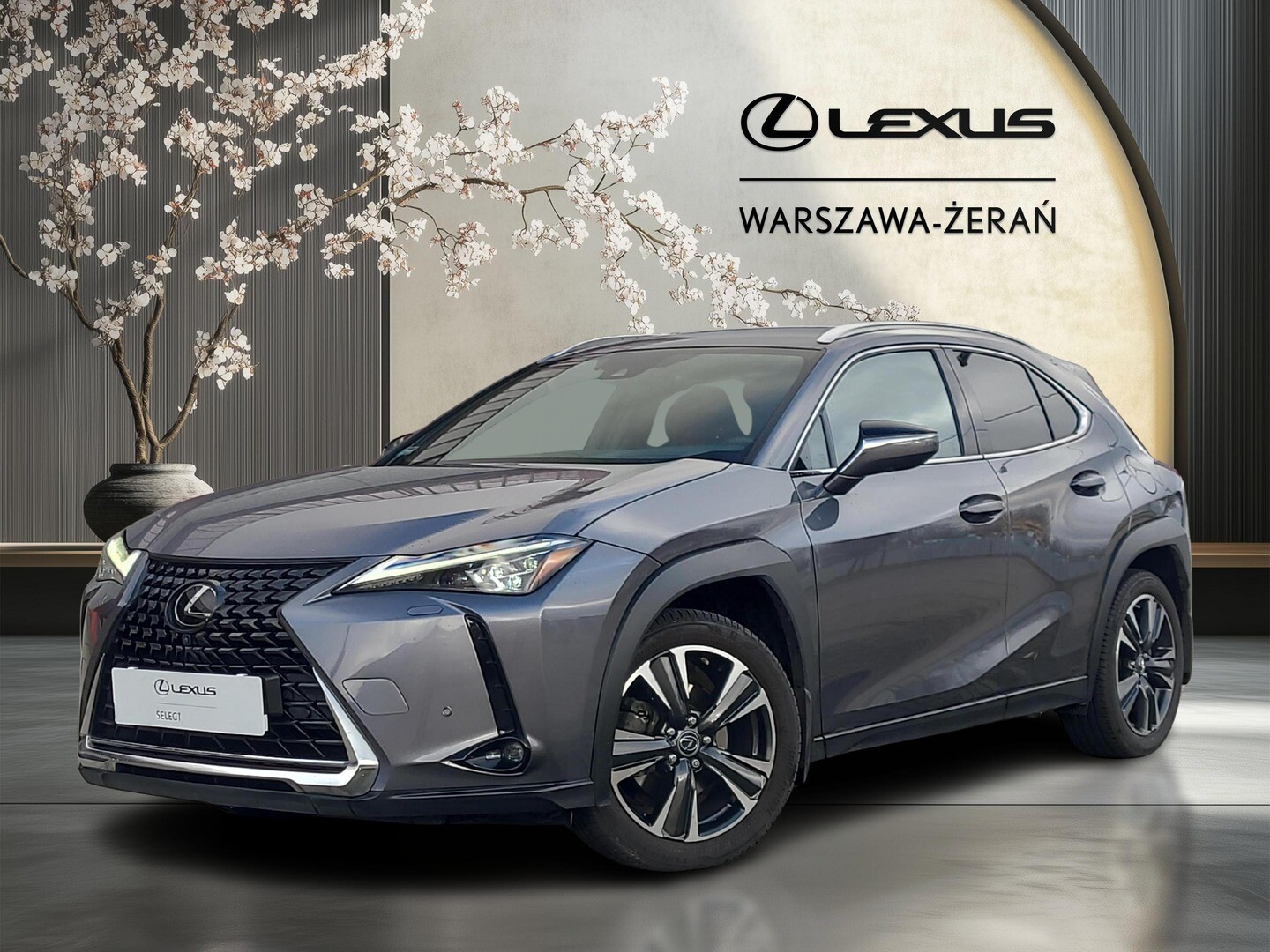 Lexus UX