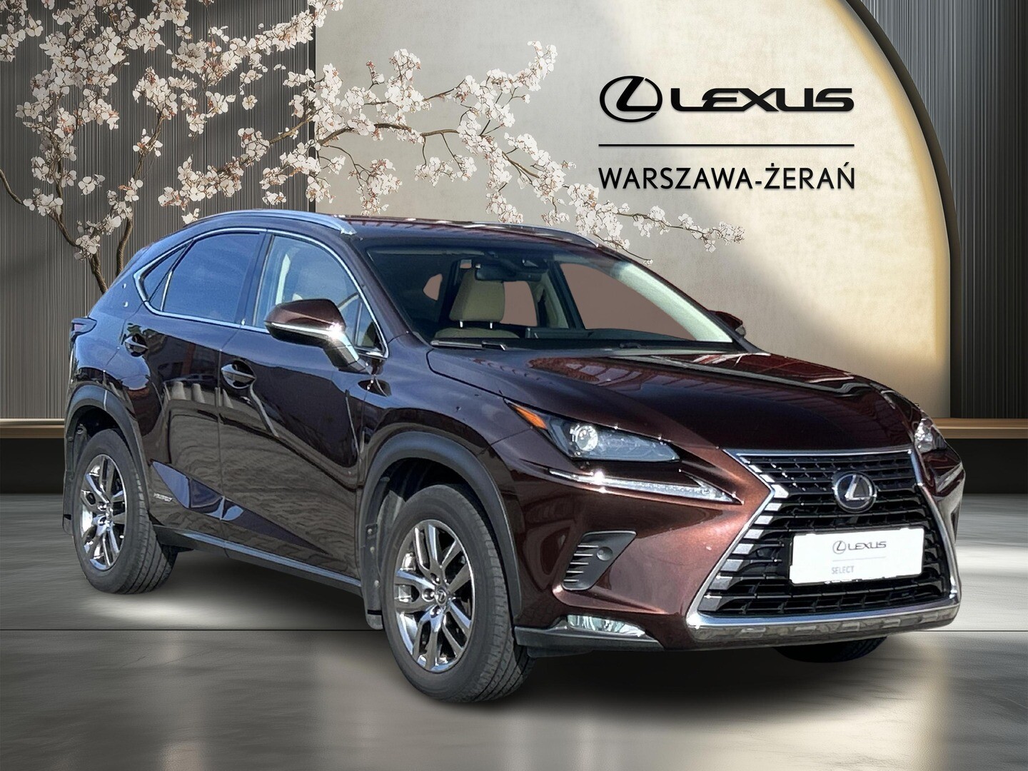 Lexus NX