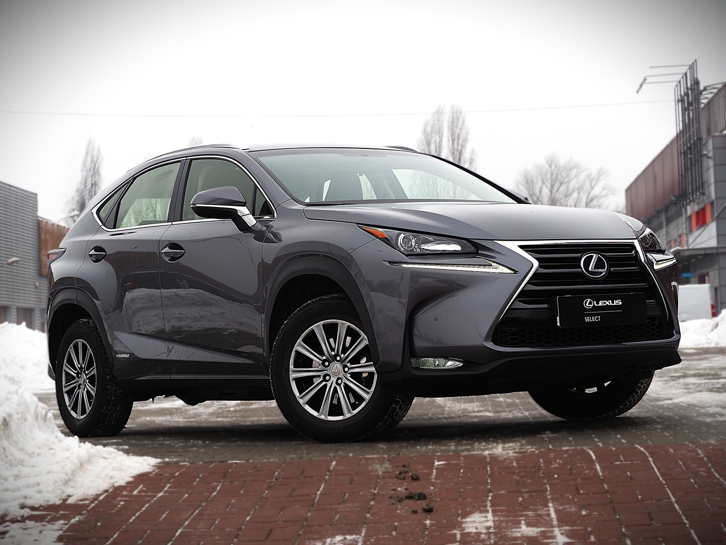 Lexus NX