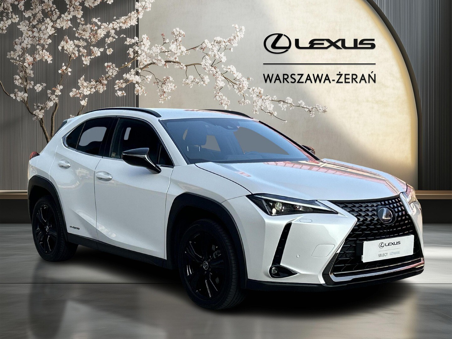 Lexus UX