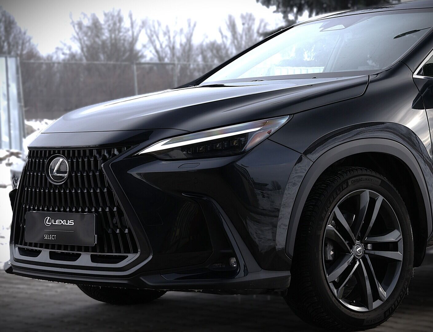 Lexus NX