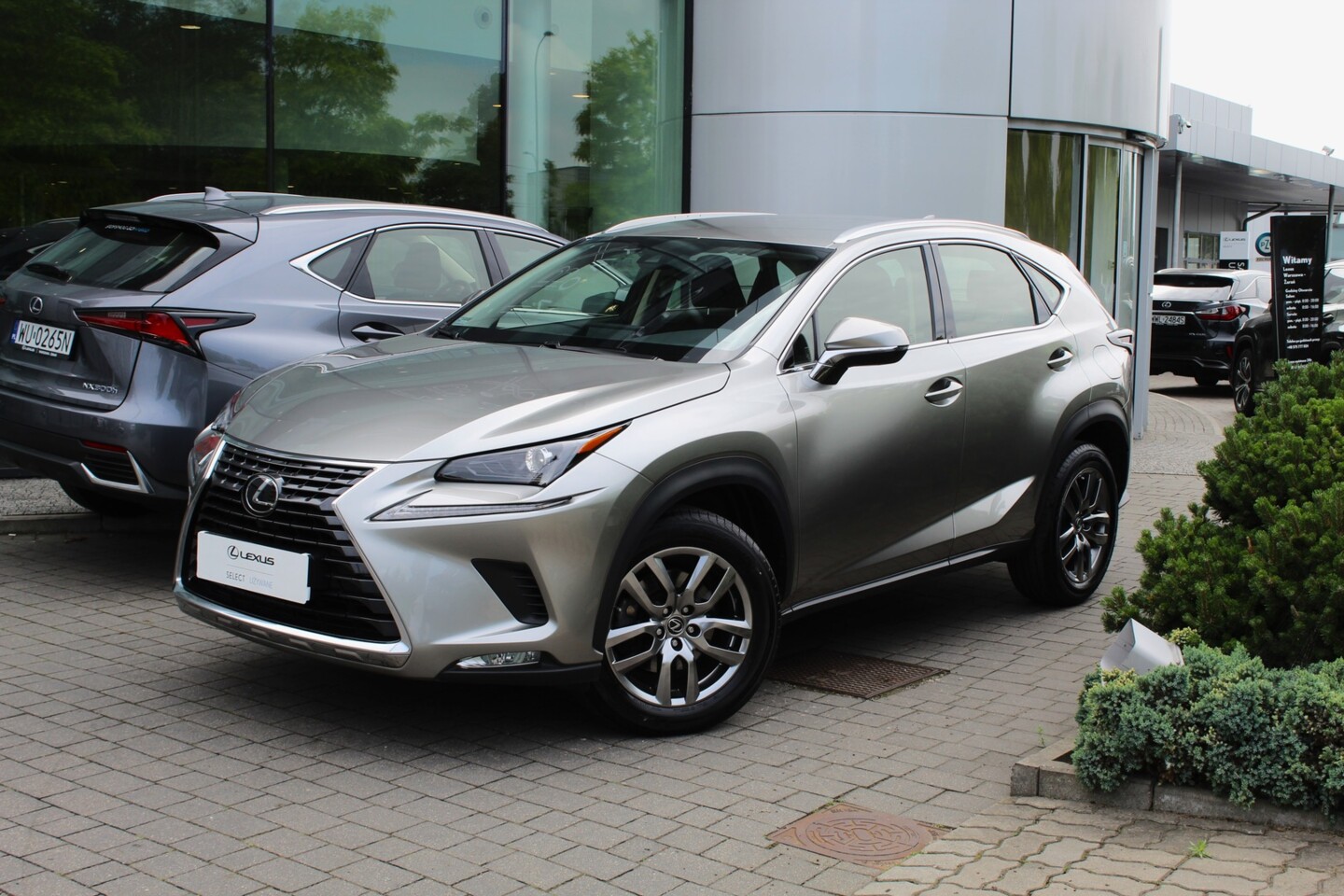 Lexus NX